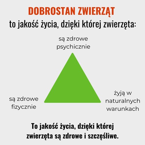 Trójkąt dobrostanu zwierząt