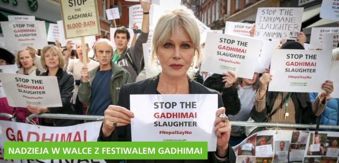 Akcji przeciwko festiwalowi Gadhimai patronowała Joanna Lumley