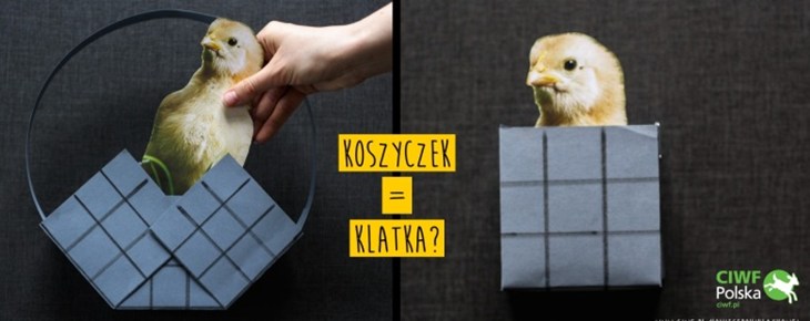 Koszyczek = klatka?