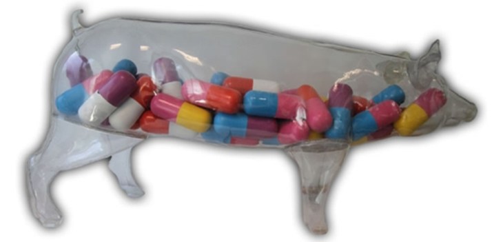 Antibiotica