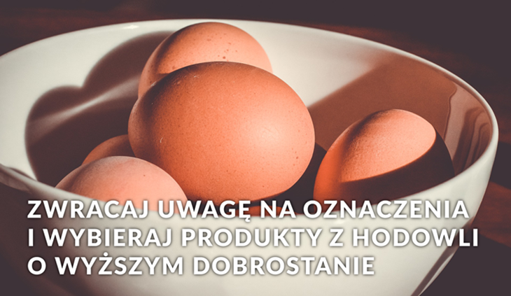 odpowiedzialna-konsumpcja.png