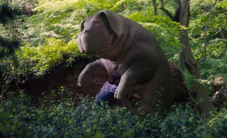 okja2.jpg