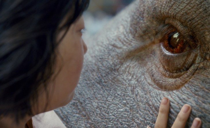 okja3.jpg