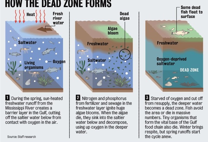 deadzone.jpg
