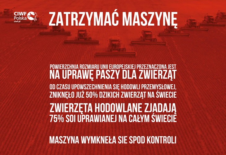 STM_strona.jpg