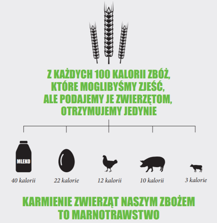 zboza-marnowanie.PNG