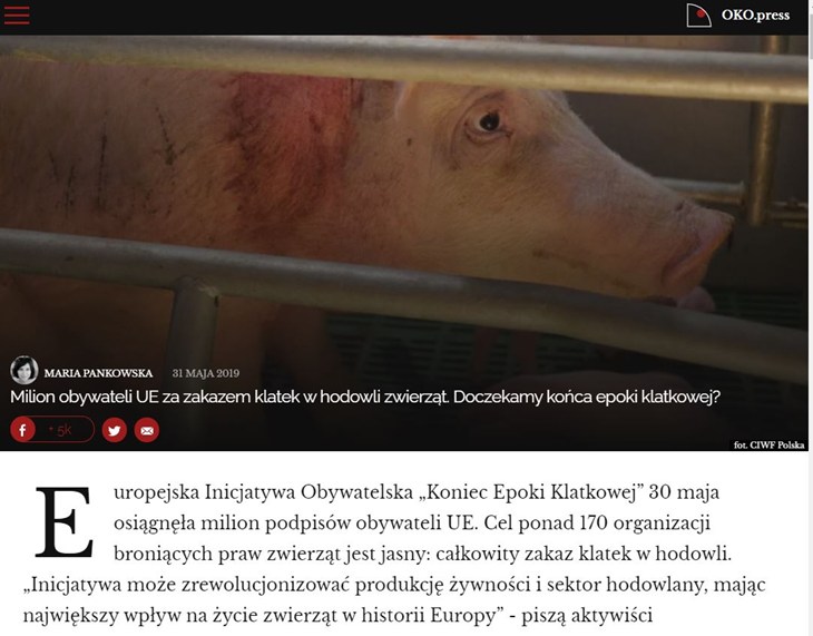 kek-okopress.JPG