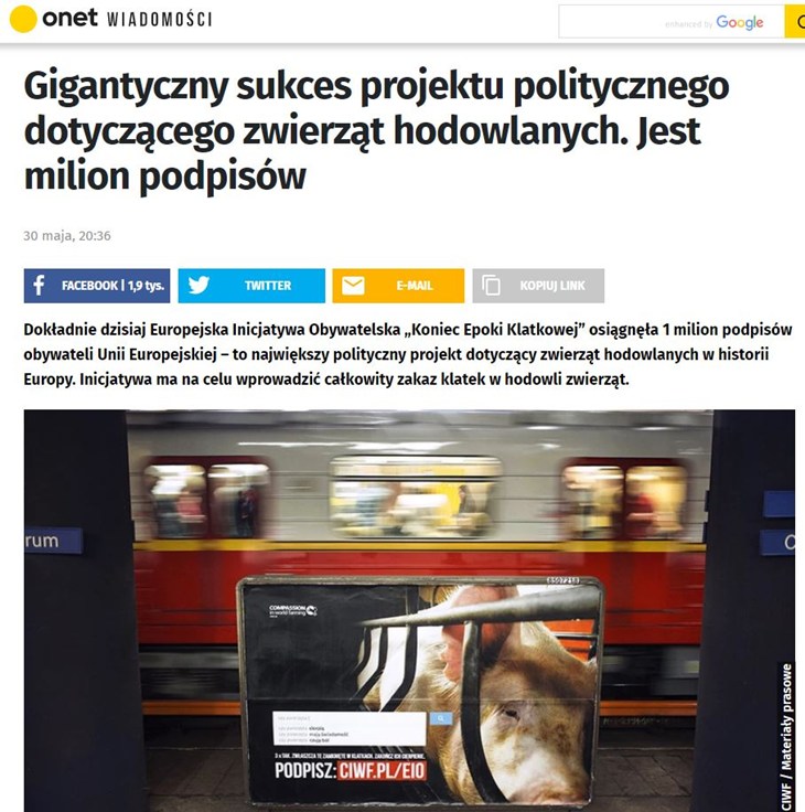 kek-onet.JPG