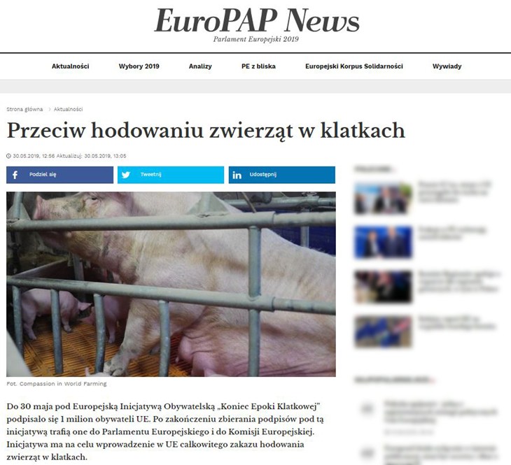 kek-papnews.JPG