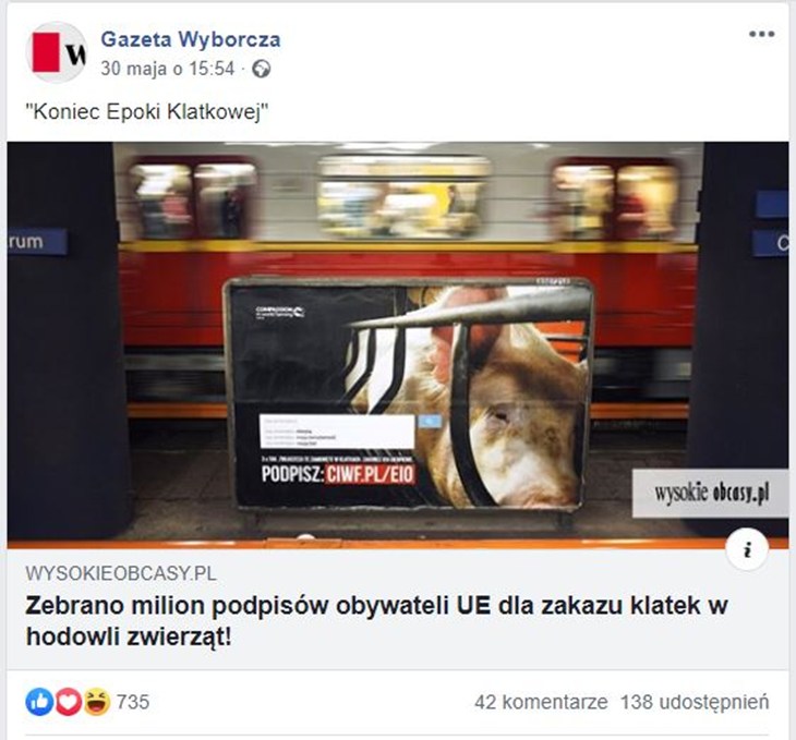 kek-wyborcza.JPG
