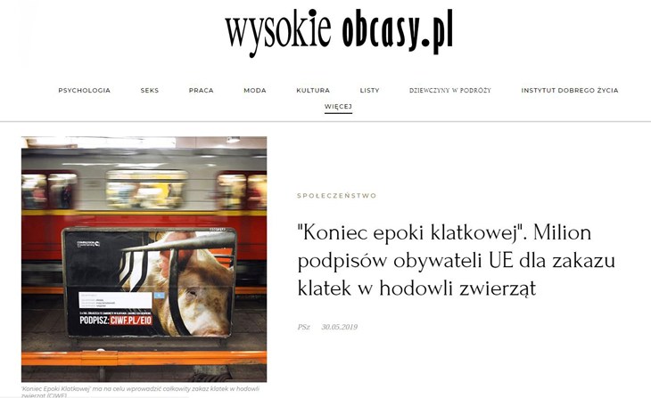 kek-wysokieobcasy.JPG