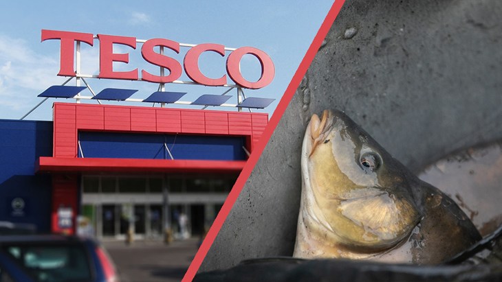Tescoparkingkarp2