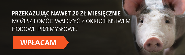 Banner Strona Www DONATE