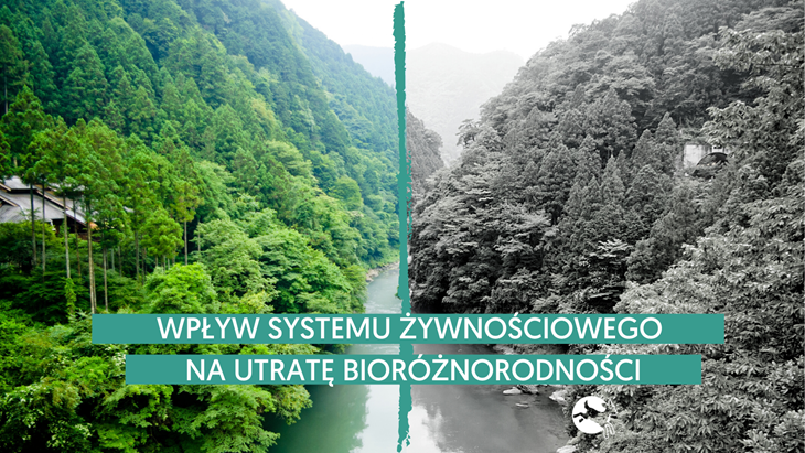 Biodiversitytwitterpl
