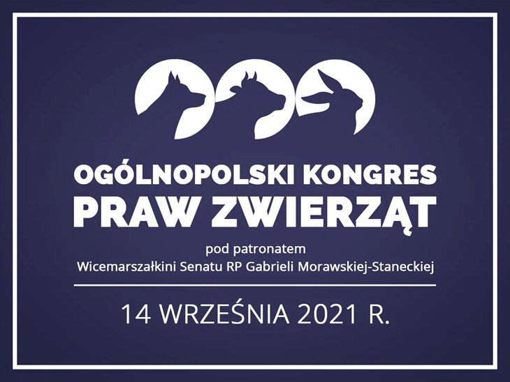 Senat2