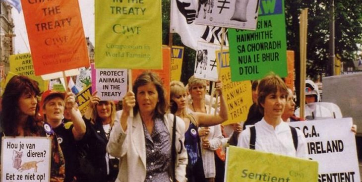 Achieving Sentient Beings Protocol In The Treaty Of Amsterdam 1997