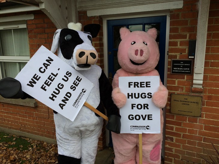 Gove Sentience Protest Outside Constituency
