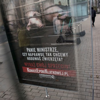 Nasza kampania do ministra rolnictwa wystartowała