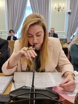 Małgorzata Szadkowska przemawia podczas spotkania podkomisji