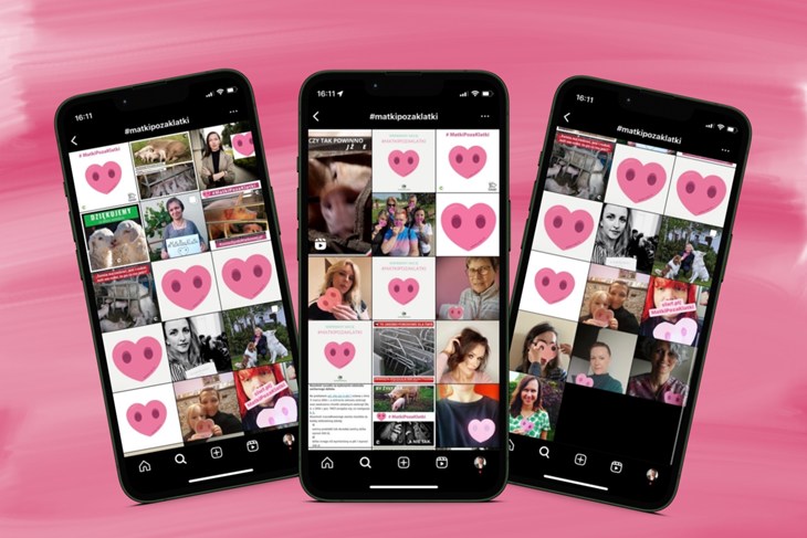 Trzy telefony na różowym tle przedstawiające wyniki wyszukiwania akcji Matki Poza Klatki na Instagramie