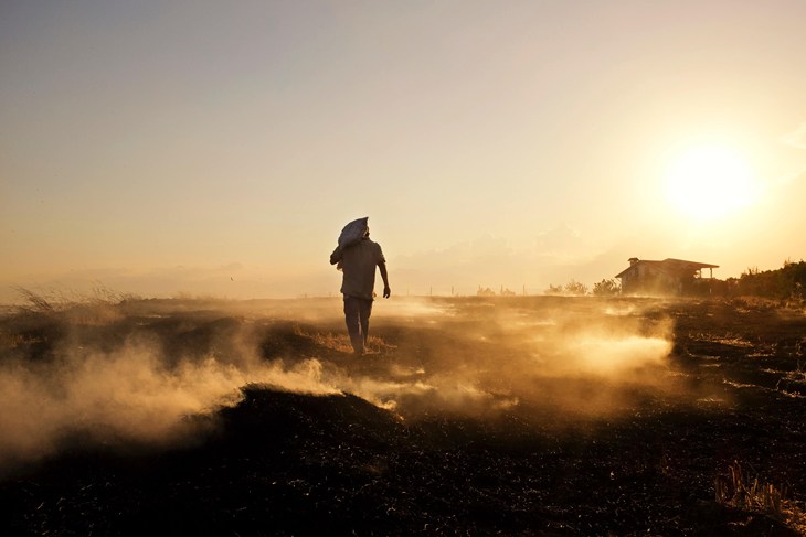 Farmer z workiem nawozu na zakurzonym polu