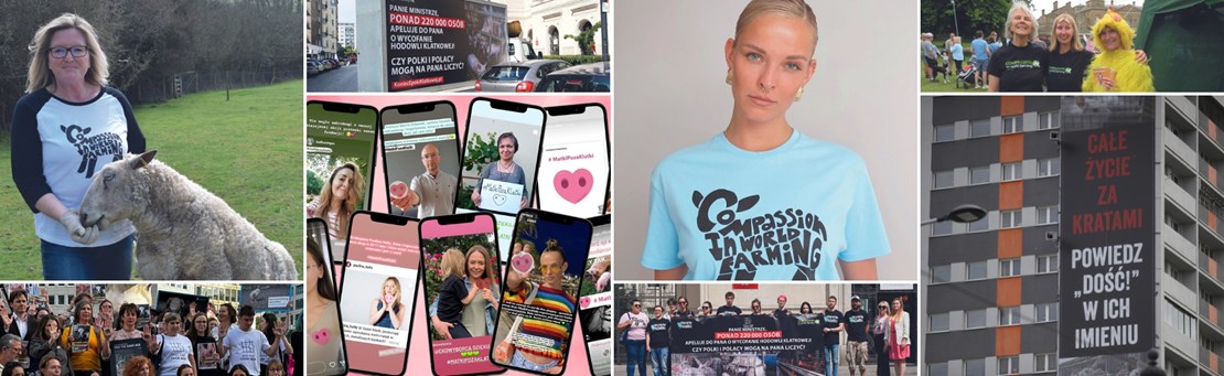 Kolaż zdjęć przedstawiający akcje Compassion w okresie 2022/23